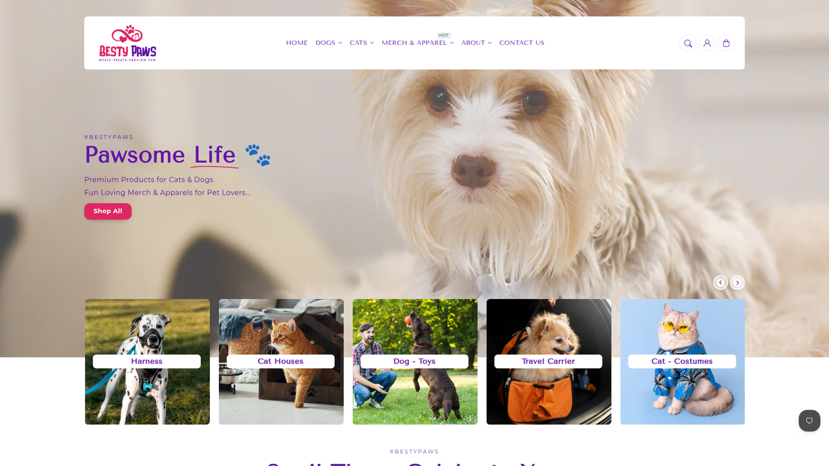 Homepage